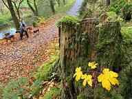2410_11_AE_waldnaabtal.jpg