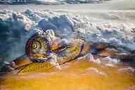 2504_66_HB_Schnecke.jpg